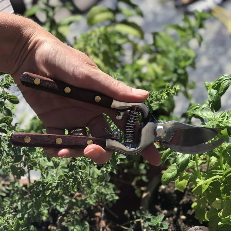 Gardaly - Vintage-Style Garden Pruning Shears - WoodTrim