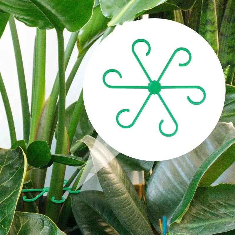 Gardaly - Adjustable Stem Support Clips - PlantHold