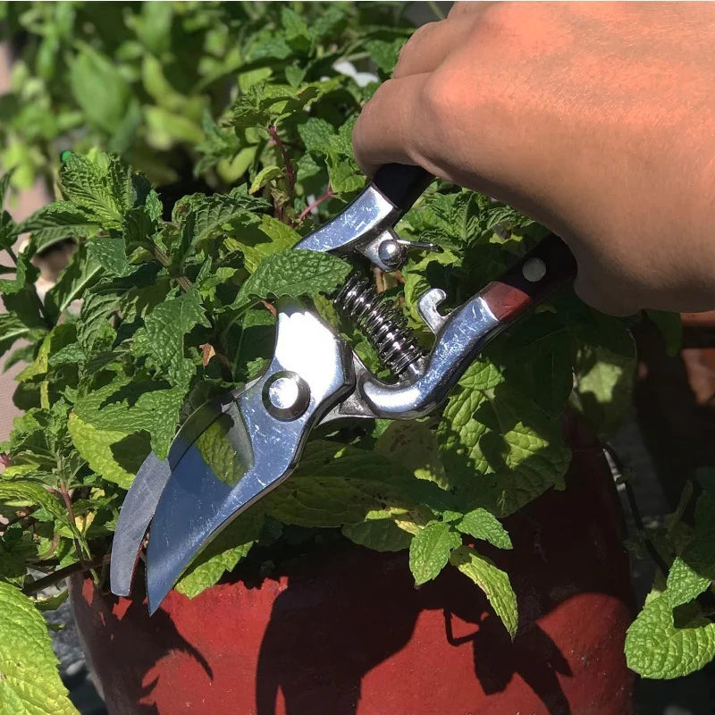 Gardaly - Vintage-Style Garden Pruning Shears - WoodTrim™