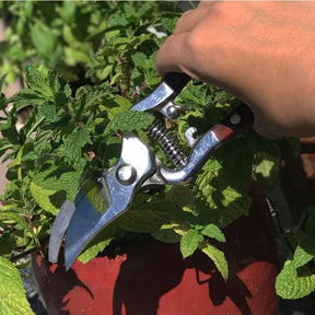 Gardaly - Vintage-Style Garden Pruning Shears - WoodTrim™