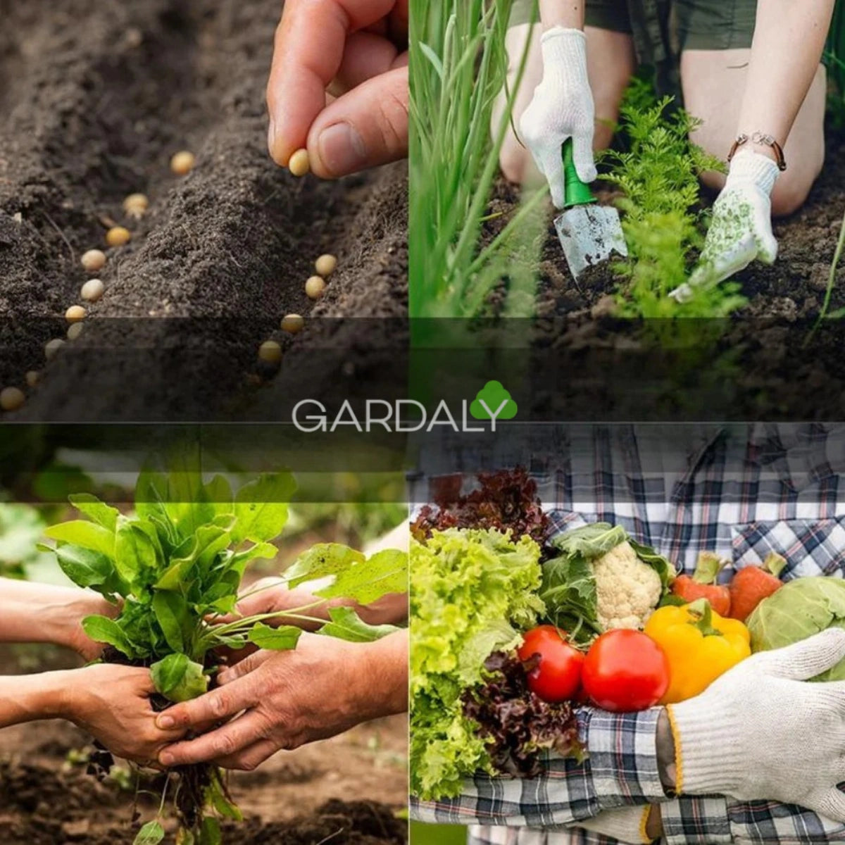 Gardaly - Vegetable Seed Vault Kit